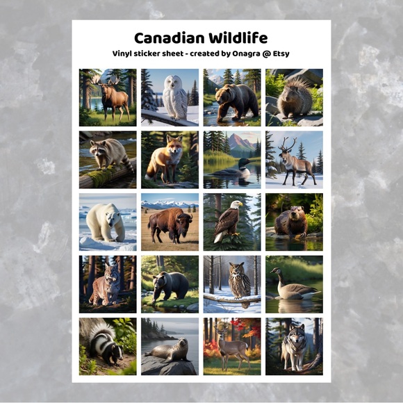 3 /💲20 Stickers! Canadian wildlife stickers - Picture 2 of 3
